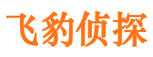 东港侦探调查公司